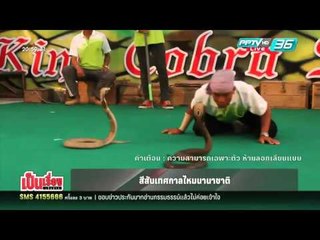 เป็นเรื่อง เป็นข่าว - เที่ยวดอยอย่าลืมนั่ง! "ฟอร์มูล่าม้ง"