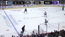 ECHL Norfolk Admirals 1 at Orlando Solar Bears 4
