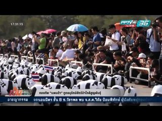 เข้มข่าวค่ำ - กองทัพ"แพนด้า" ทูตอนุรักษ์สัตว์ป่าใกล้สูญพันธุ์