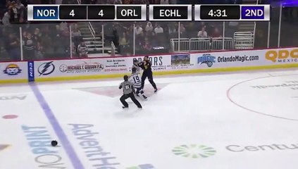 ECHL Norfolk Admirals 4 at Orlando Solar Bears 5