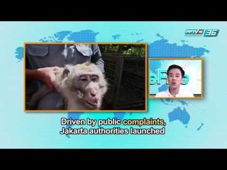 give me five Ep.22 (2/2)