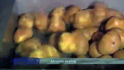 continuous knife and or abrasive peeler