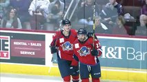 Springfield Thunderbirds 4 at Hershey Bears 2