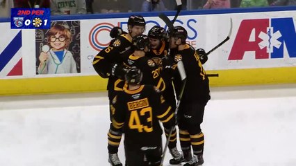 Sound Tigers 1 Providence 2 OT