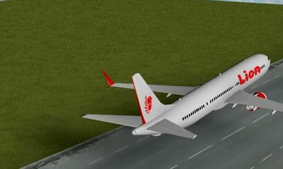 Polemik Kelaikan Terbang Lion Air PK-LQP