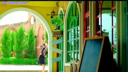 WhatsApp Status Collection: Love, Attitude, and Video Updates