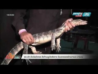 พบ เต่า-ตัวเงินตัวทอง ส่งทำเมนูเปิบพิสดาร