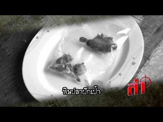 ล่า | แห่นาคโหด  | 28 พฤษภาคม 2559