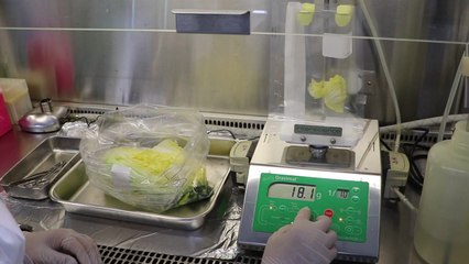 "절임배추서 대장균 검출...위생 관리 강화해야" / YTN