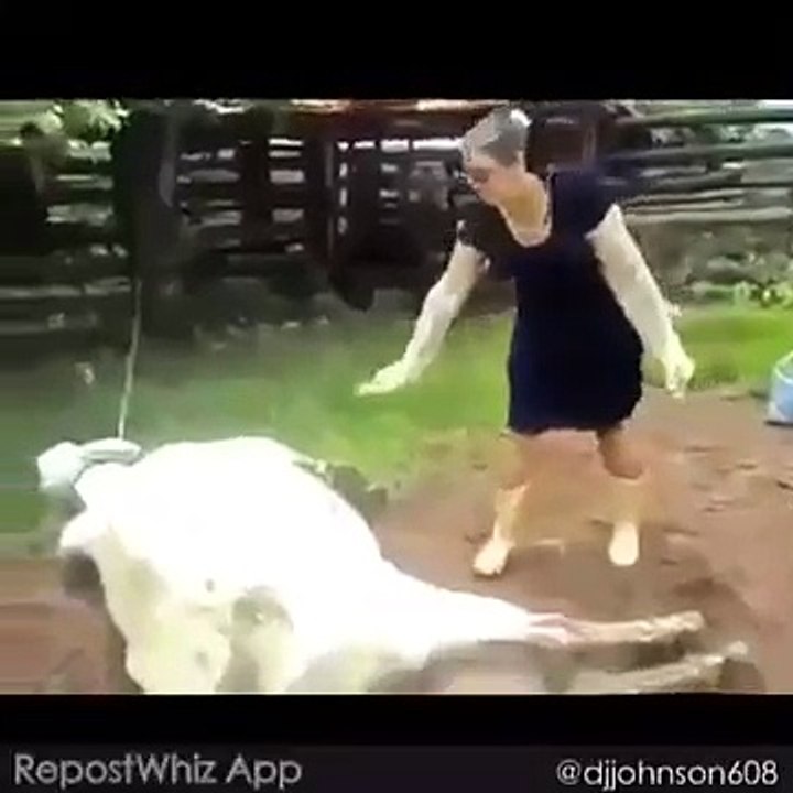 Hit The Kick