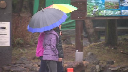 [날씨] 밤사이 비 내리며 미세먼지 해소...비 온 뒤 한파 / YTN