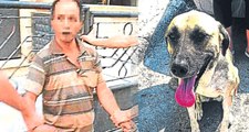 Sokak Köpeğinin Yakalattığı Sapık, 21 Ay Hapis Yatacak
