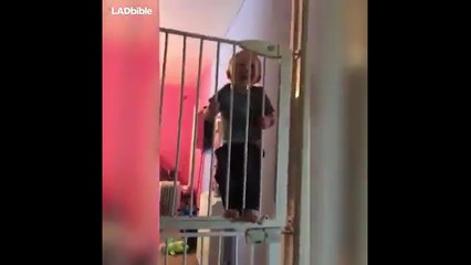 فيديو طفل ذكي يظهر مهارة استثنائية في تسلق بوابة معدنية.. عمره أشهر!