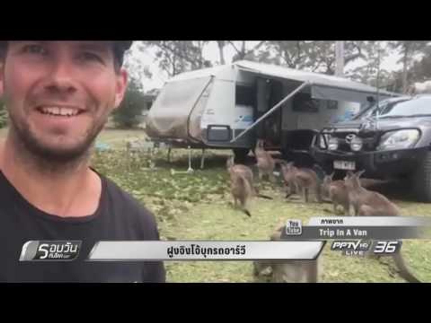 ฝูงจิงโจ้บุกรถ RV - รอบวันทันโลก