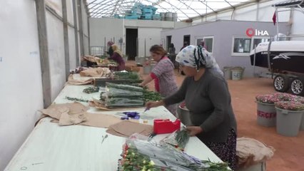 Avrupa'nın Çiçeği Antalya'dan