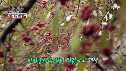 위암 수술 후 건강 회복! 그 비법은?
