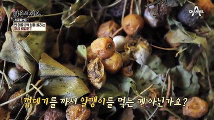 연 매출 2억 원을 올리는 황금 비법은?!