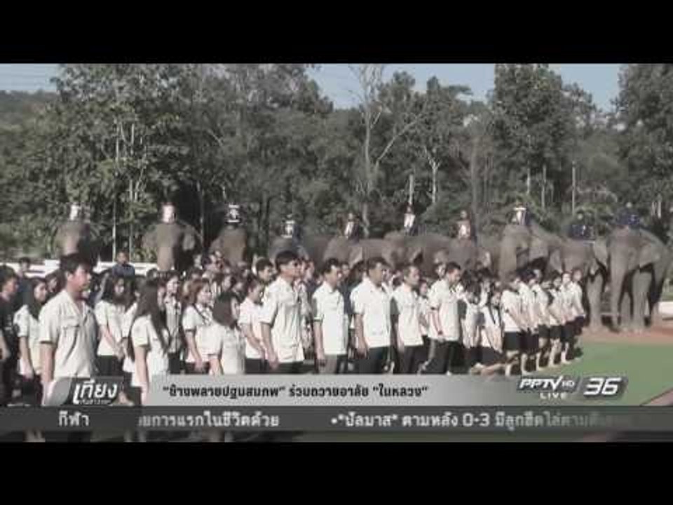 ช้างพลายปฐมสมภพ ร่วมถวายอาลัย ในหลวง - เที่ยงทันข่าว