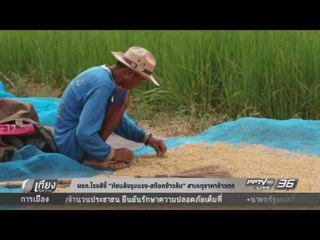 ผจก.โรงสีชี้ "ภัยแล้งรุนแรง-สต๊อกข้าวล้น"สาเหตุราคาข้าวตก - เที่ยงทันข่าว