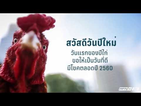 สวัสดีปีระกา 2560