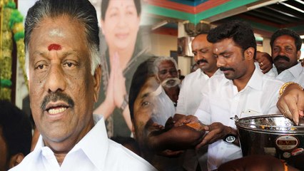 தேனீ அரசியலில் களமிறங்கிய ஓ.பி.எஸ் மகன்கள்