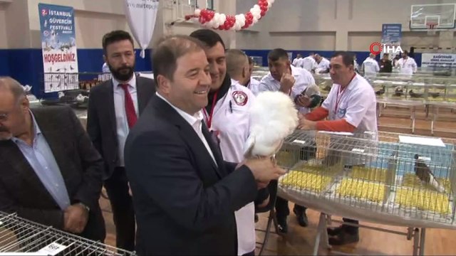 Dünyanın dört bir yanından getirilen binlerce güvercin birincilik için yarıştı