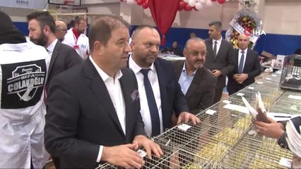 Dünyanın Dört Bir Yanından Getirilen Binlerce Güvercin Birincilik İçin Yarıştı