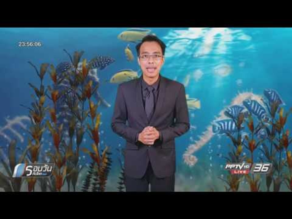 WORLD DIGEST: นักอนุรักษ์ห่วงม้าน้ำสูญพันธุ์จากน่านน้ำกัมพูชา