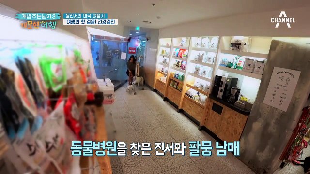 [반려견 동반 여행 꿀팁!] 반려견과의 해외 여행을 위해 준비해야 할 것은?