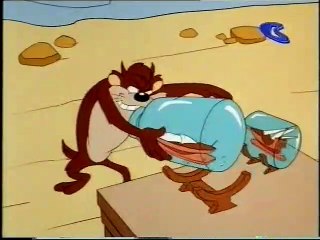 Boomerang Italy - Tazmania Promo