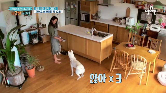 진서표 영양만점 펫 요리! '치즈 인 더 비트' 레시피 대공개~