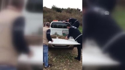 Pazarda Satılan 120 Saka Kuşu, El Konularak Doğal Ortamlarına Bırakıldı