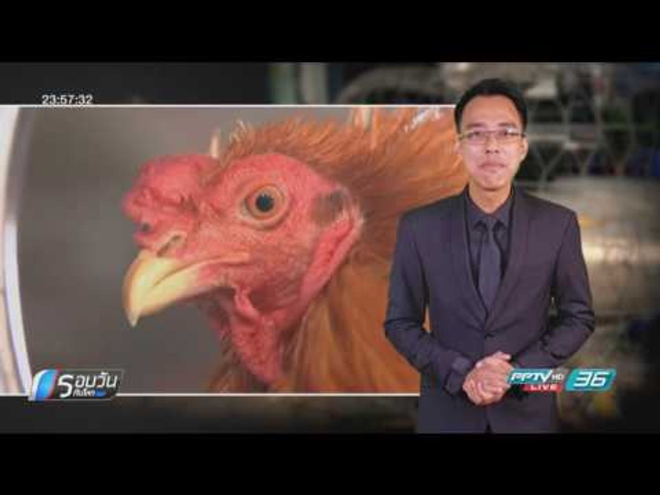 WORLD DIGEST: ชาวเวียดนามแห่เลี้ยงไก่รับปีระกา