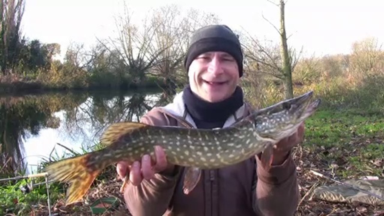River Pike and Zander Fishing- First Session - Warwickshire Avon Campaign - 26/11/17 (Video 53)