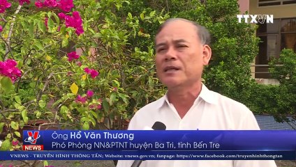 Nông nghiệp ĐBSCL thích ứng biến đổi khí hậu