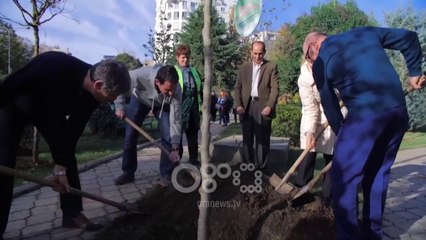 Ora News - Shkencat e Natyrës i bashkohen aksionit, 2 mln pemë deri në 2030