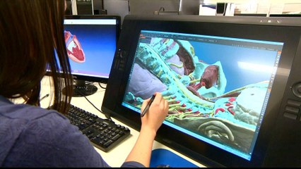 3D printer to be sent to space for human organ trials