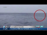 พบ วาฬสีน้ำเงิน โผล่เกาะสิมิลัน - เที่ยงทันข่าว