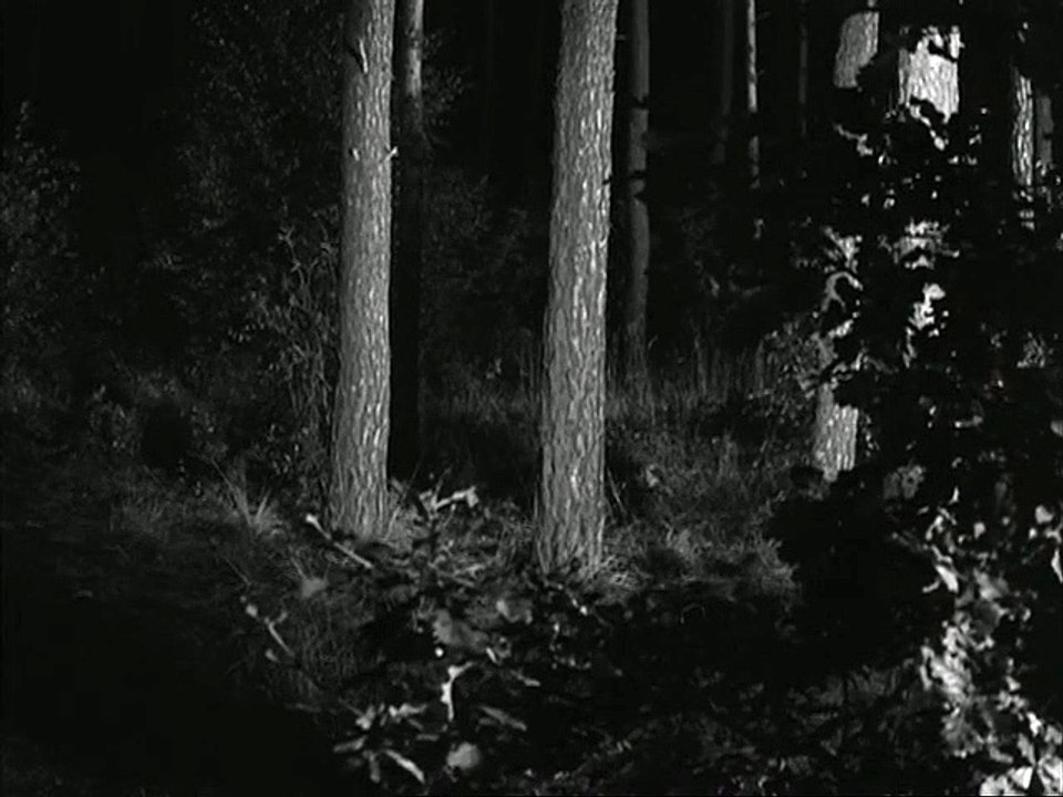 Polizeiruf 110 (1973) E012 - In derselben Nacht  teil 1