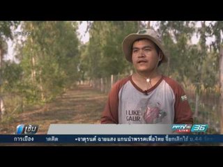 ปล่อยนกกระเรียนคืนธรรมชาติ หลังสูญพันธุ์ไปกว่า 50 ปี - เข้มข่าวค่ำ