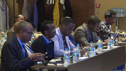 Mutanoğlu: "Yeniden Ayağa Kalkan Somali'yi Çok Daha İyi Bir Şekilde Anlatmamız Gerekiyor"