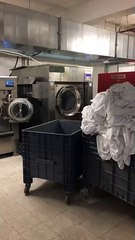 Çamaşır Makinası hipnotize eder insanı.