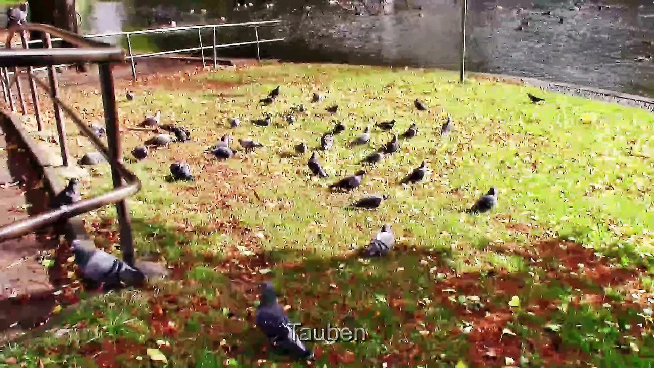 Entlang der Ringe in Köln – 1