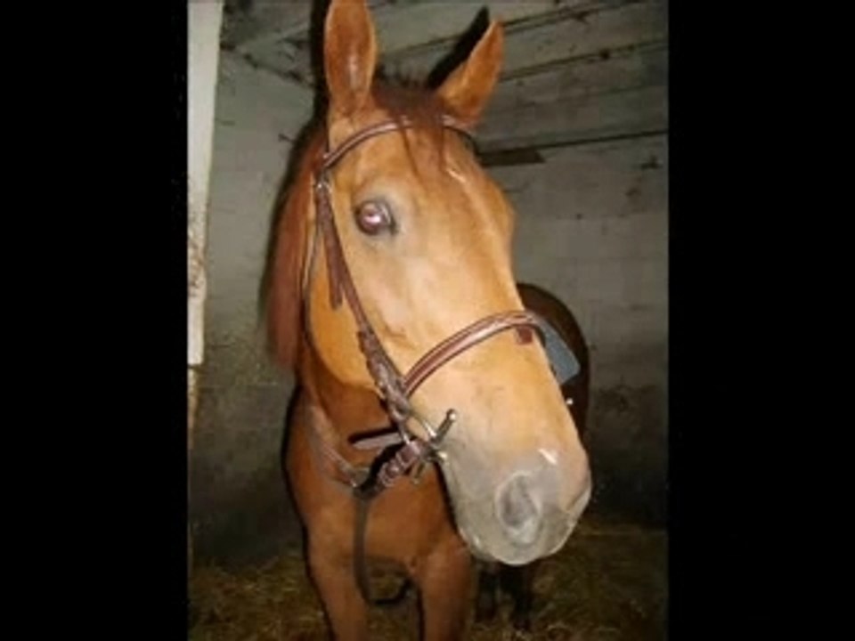 Idylle ==> Ma Star