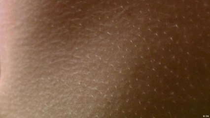 سؤال المشاهدين