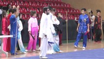 Geleneksel Wushu Kung Fu Türkiye Şampiyonası