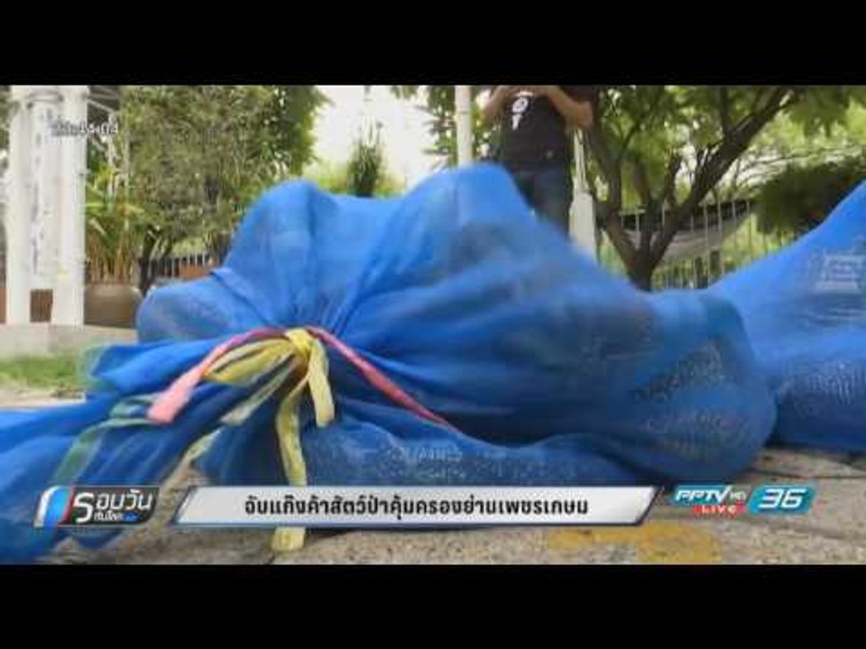 ตร.ยึดสัตว์ป่าสงวนและสัตว์ป่าคุ้มครองกว่า 100 ตัว
