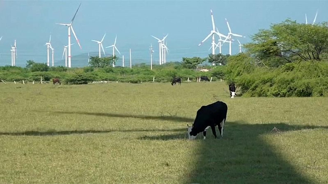 Mexikos Indigene: Widerstand gegen Großprojekte