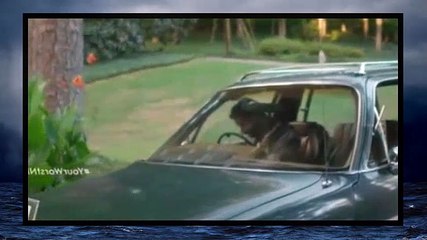 Your Worst Nightmare S03e06