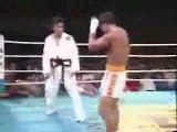 Taekwondo vs Muay Thai